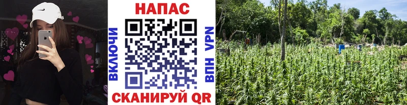 Магазины продажи наркотиков Клин Гашиш КОКАИН гидра маркетплейс А ПВП Марихуана МЕФ