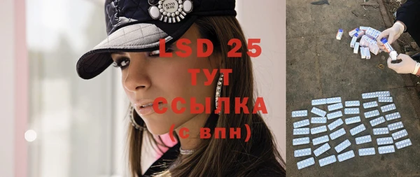 индика Алексеевка