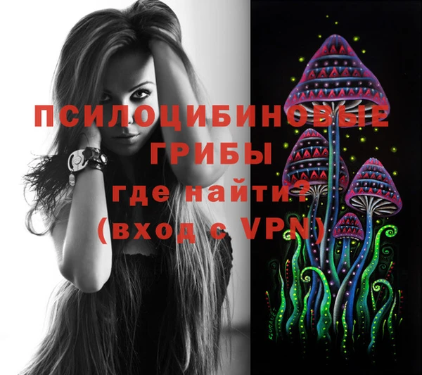 каннабис Алзамай